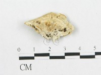 登錄號:F0014018藏品圖，第1張