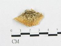 登錄號:F0014018藏品圖，第3張