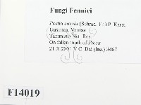 登錄號:F0014019藏品圖，第2張