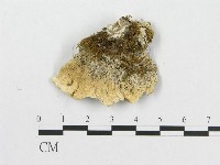 登錄號:F0014019藏品圖，第3張