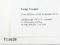 登錄號:F0014020藏品圖，第2張