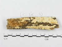 登錄號:F0014020藏品圖，第1張