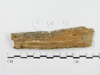 登錄號:F0014020藏品圖，第4張