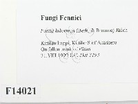 登錄號:F0014021藏品圖，第2張