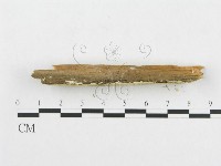 登錄號:F0014021藏品圖，第3張