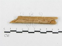 登錄號:F0014021藏品圖，第4張