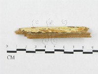 登錄號:F0014021藏品圖，第5張