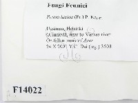 登錄號:F0014022藏品圖，第2張