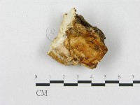 登錄號:F0014022藏品圖，第1張