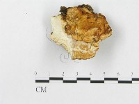 登錄號:F0014022藏品圖，第4張