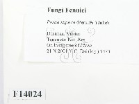 登錄號:F0014024藏品圖，第2張