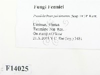 登錄號:F0014025藏品圖，第2張