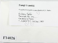 登錄號:F0014026藏品圖，第2張