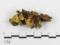 登錄號:F0014026藏品圖，第3張