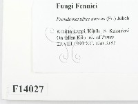 登錄號:F0014027藏品圖，第2張