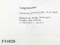 登錄號:F0014028藏品圖，第2張