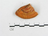 登錄號:F0014028藏品圖，第3張