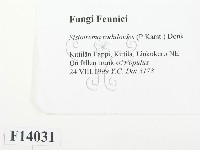 登錄號:F0014031藏品圖，第2張