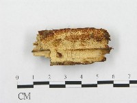 登錄號:F0014031藏品圖，第1張