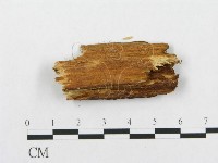 登錄號:F0014031藏品圖，第4張