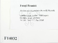 登錄號:F0014032藏品圖，第2張