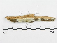 登錄號:F0014032藏品圖，第1張
