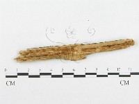 登錄號:F0014032藏品圖，第3張