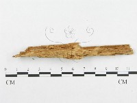 登錄號:F0014032藏品圖，第4張