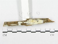 登錄號:F0014032藏品圖，第5張