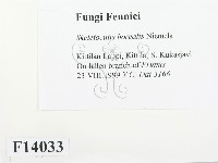 登錄號:F0014033藏品圖，第2張