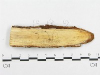 登錄號:F0014033藏品圖，第3張