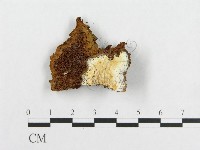 登錄號:F0014034藏品圖，第1張