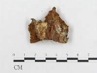 登錄號:F0014034藏品圖，第3張