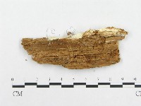 登錄號:F0014035藏品圖，第3張