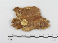 登錄號:F0014036藏品圖，第3張