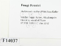 登錄號:F0014037藏品圖，第2張