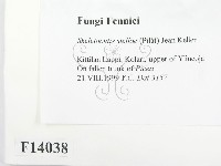 登錄號:F0014038藏品圖，第2張
