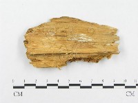 登錄號:F0014038藏品圖，第3張