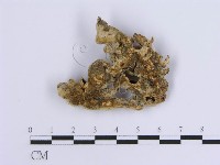 登錄號:F0014039藏品圖，第1張