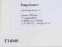 登錄號:F0014040藏品圖，第2張