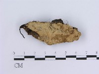 登錄號:F0014040藏品圖，第1張