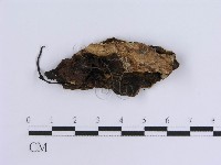 登錄號:F0014040藏品圖，第3張