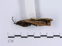 登錄號:F0014040藏品圖，第4張