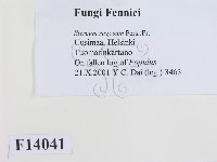 登錄號:F0014041藏品圖，第2張