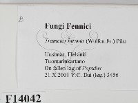 登錄號:F0014042藏品圖，第2張