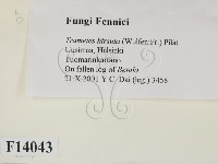 登錄號:F0014043藏品圖，第2張