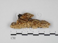 登錄號:F0014044藏品圖，第1張