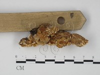 登錄號:F0014044藏品圖，第4張