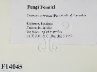 登錄號:F0014045藏品圖，第2張