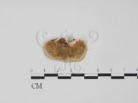 登錄號:F0014045藏品圖，第1張